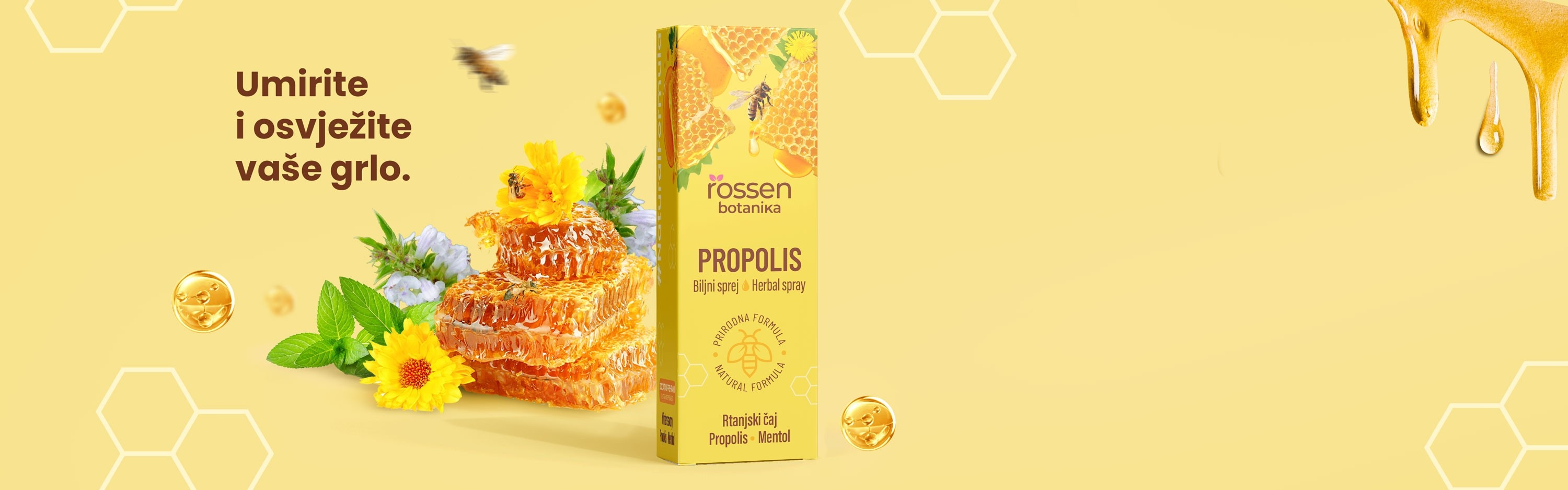 PROPOLIS-SEKCIJA-1